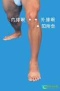 中老个人膝关节保养方法
