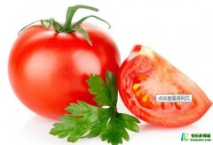 番茄和胡萝卜的营养价值