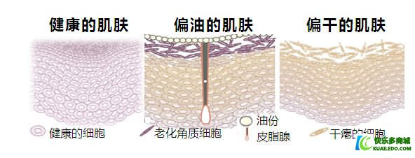 皮肤怎样补水