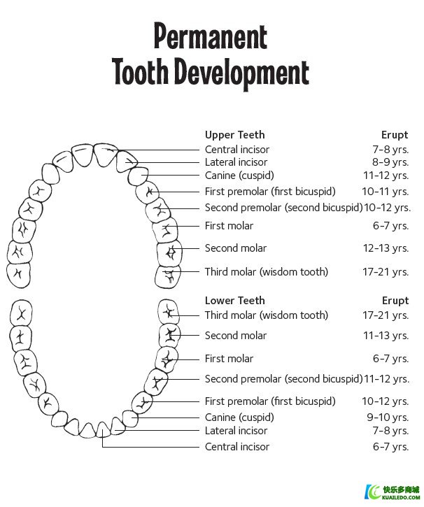 孩子进入换牙期要注意什么