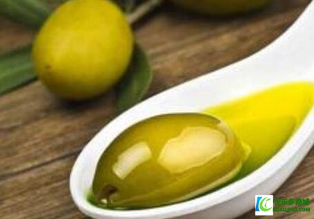 橄榄油丰胸是真的吗