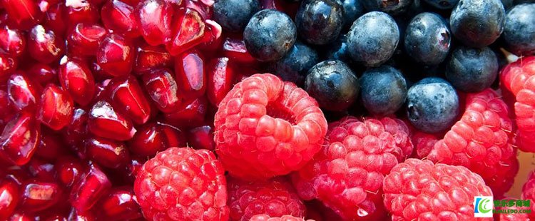 123-营养-水果-石榴-蓝莓-树莓.jpg