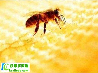 [解说]蜂胶能治什么病 揭示蜂胶的三大疗效