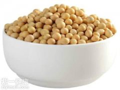吃黄豆减肥吗 【详解】食用黄豆能不能减肥