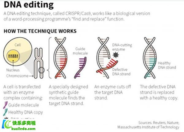 MIT 和哈佛科学家发现新的基因编辑技术，或可治愈15000种疾病