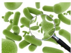 安利益生菌有没有副作用 吃安利益生菌会有依赖吗