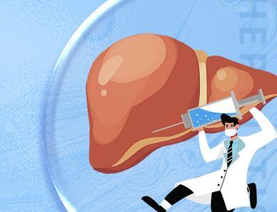 肝脏的作用是什么