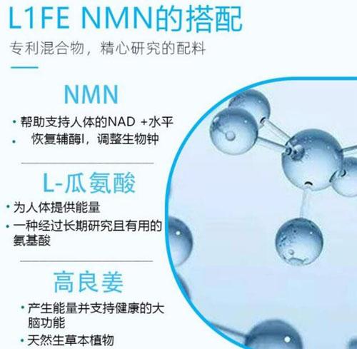 美商婕斯NMNβ-烟酰胺单核苷酸成份是什么