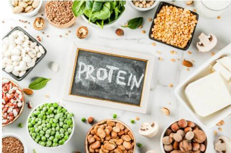 蛋白质对老年人健康的重要性